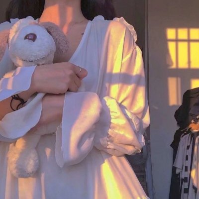 燕子与鹦鹉